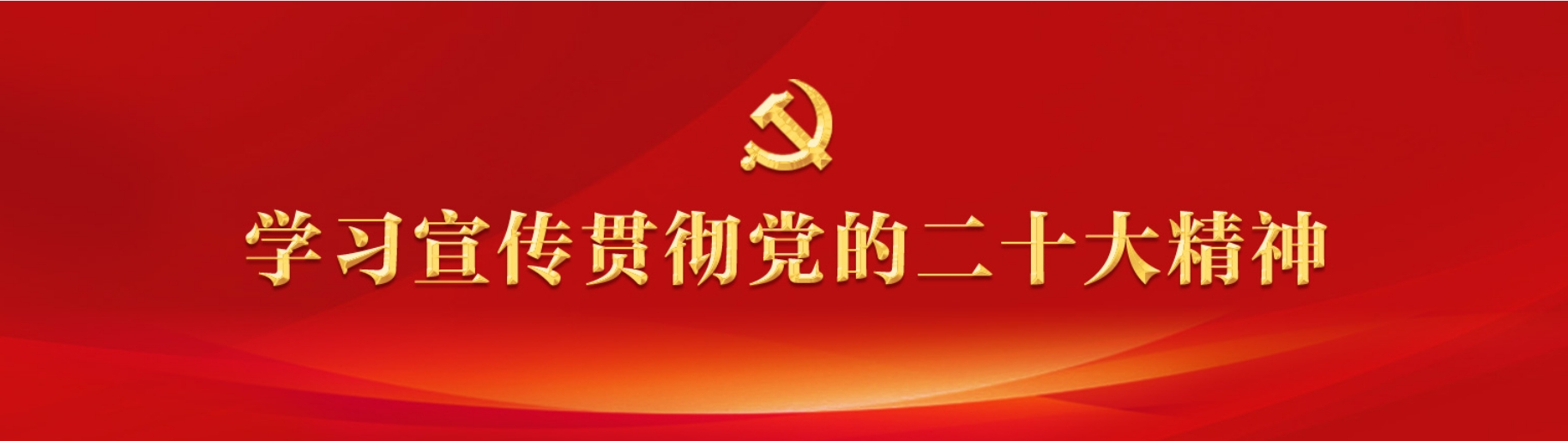 学习贯彻党的二十大精神